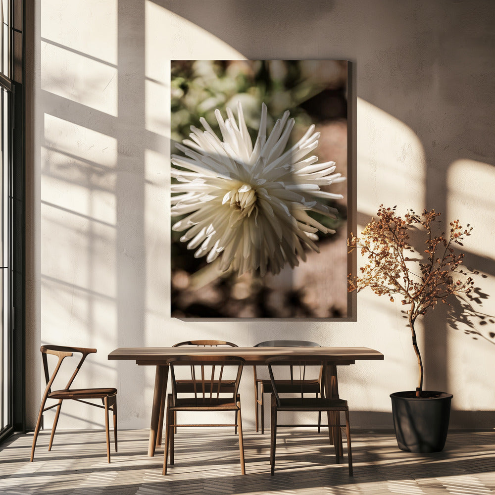 White Blossom Glow | Canvas