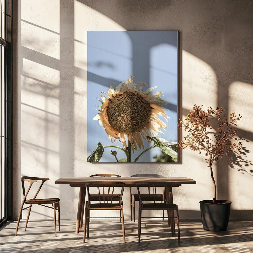 Golden Sunflower Sway | Canvas