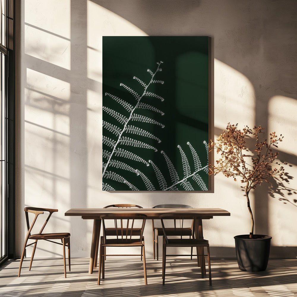 Fern's Gentle Curve | Canvas