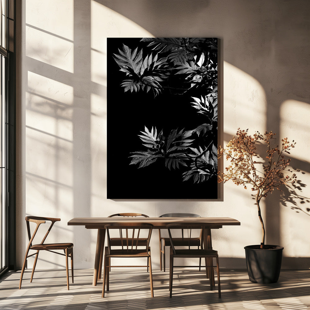 Shadows of Leaves | Canvas