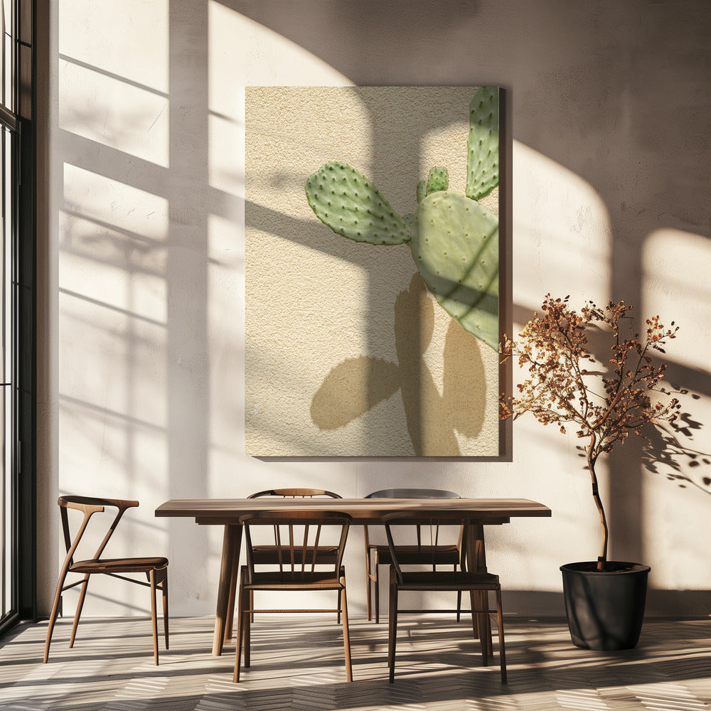 Cacti Shadowplay | Canvas
