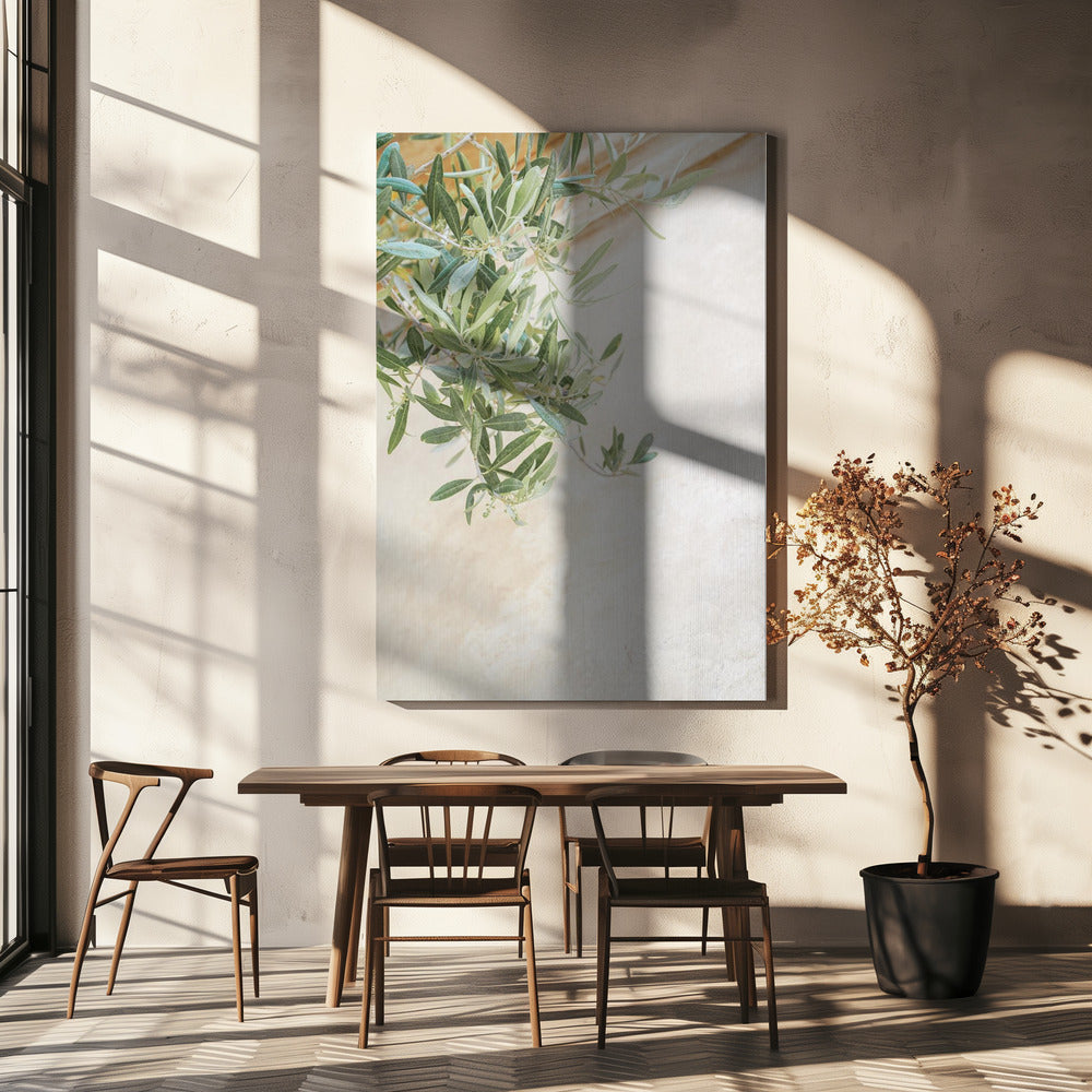 Olive Tree Leaves | Canvas