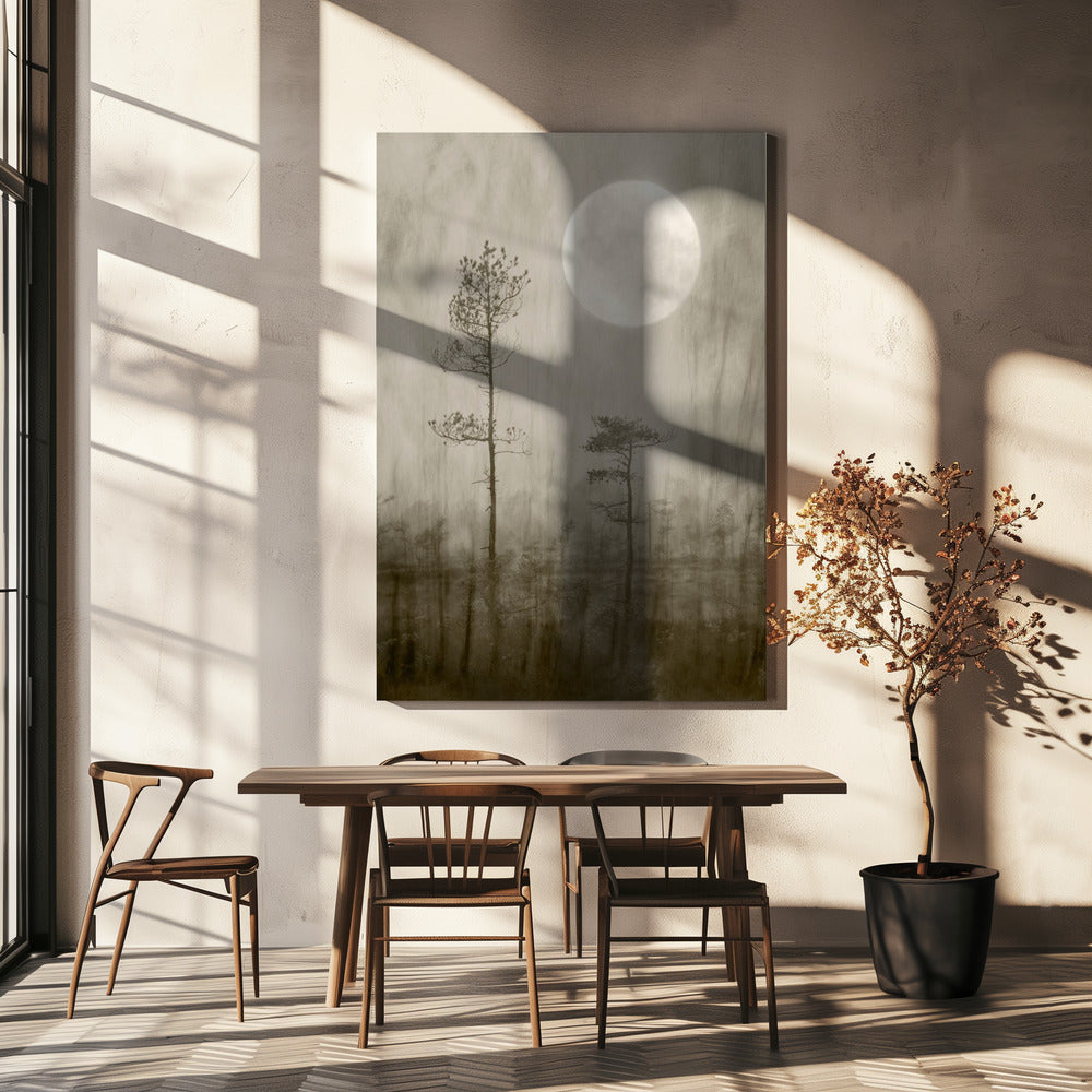 Moonlight Moor | Canvas