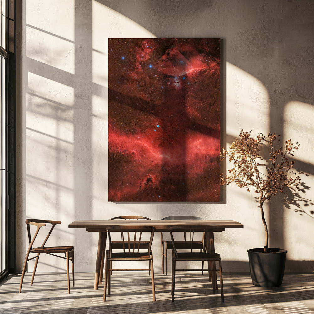 Orion's Belt | Canvas
