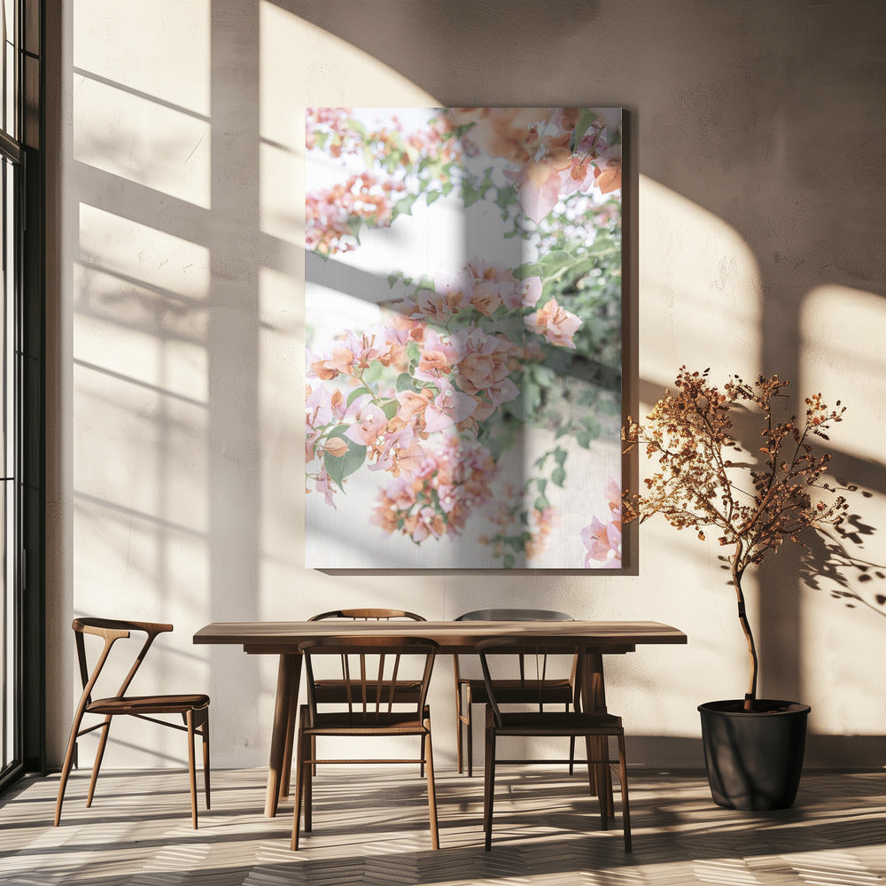 Peach Bougainvillea | Canvas