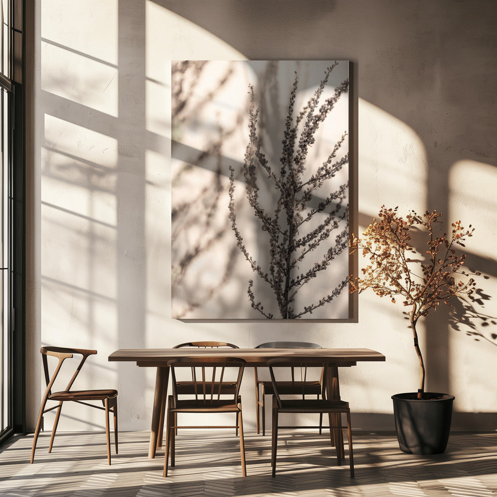 Summer Shadows 7X | Canvas