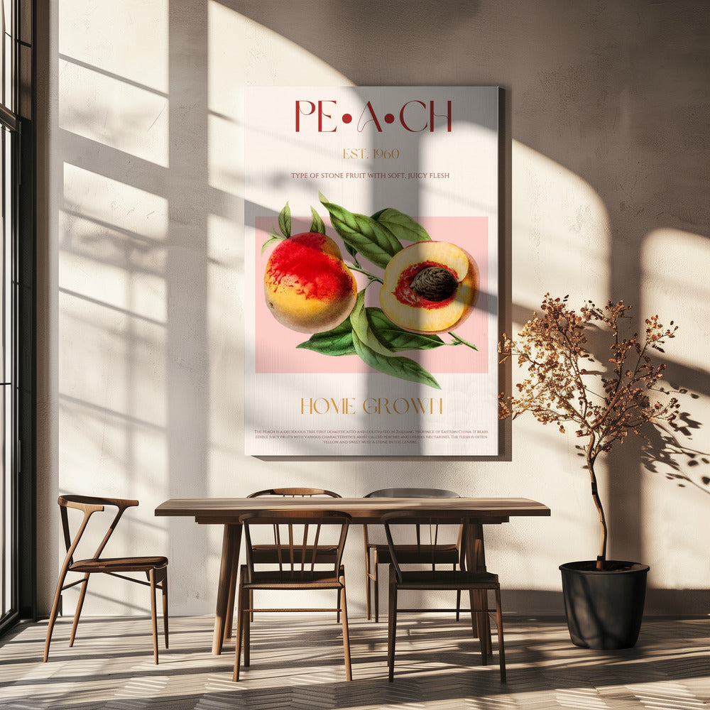 Vintage Style Peach Illustration | Canvas