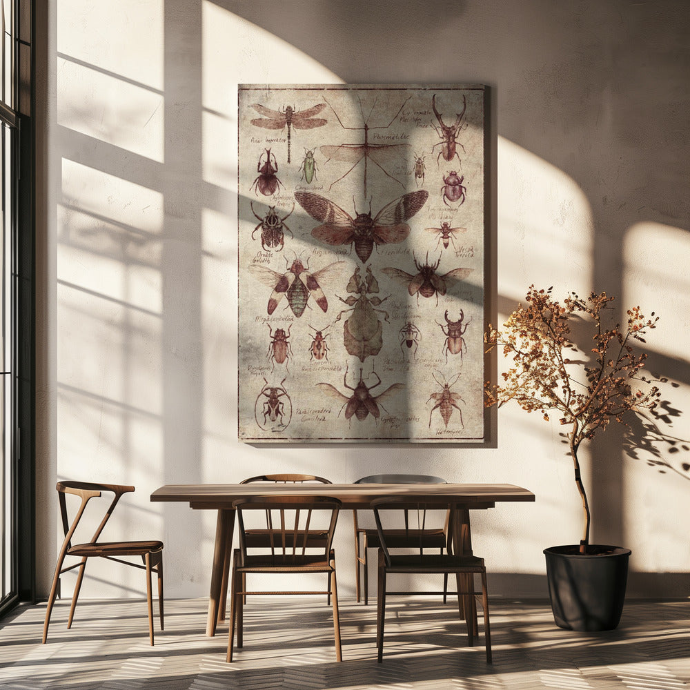 Vintage-style Insects | Canvas