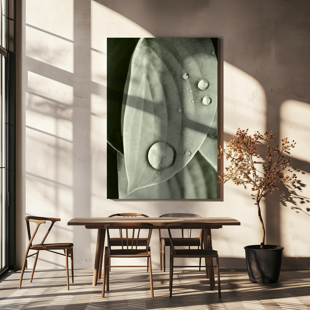 Dew on Leaf Elegance | Canvas