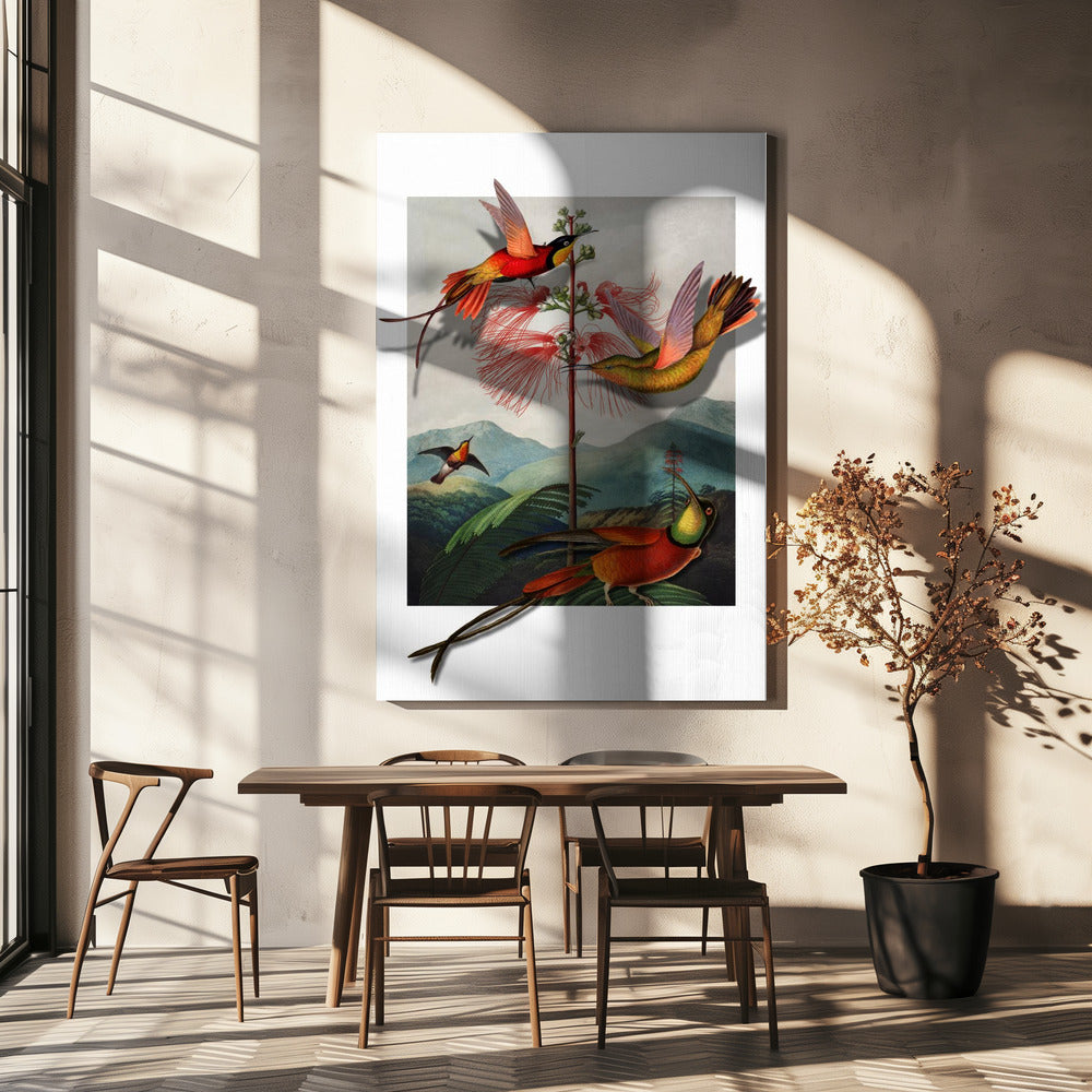 Mimosa Grandiflora | Canvas