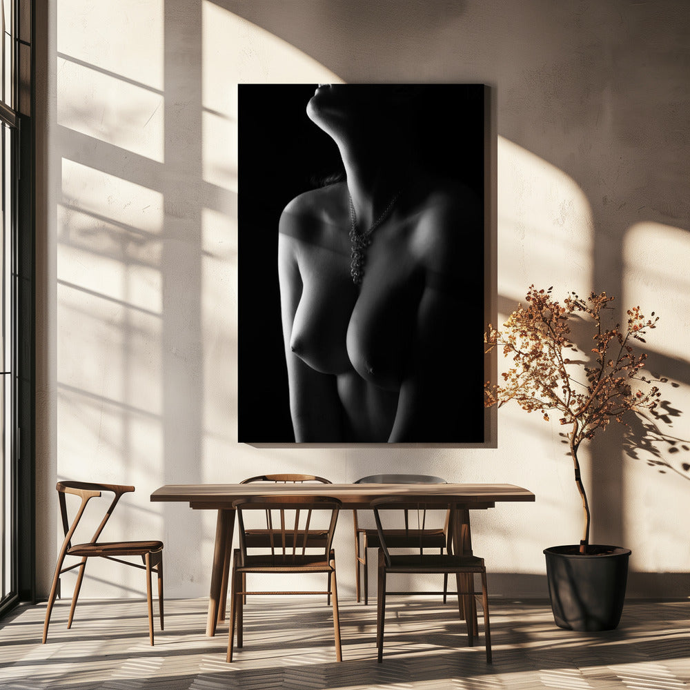 Nude curves | Canvas