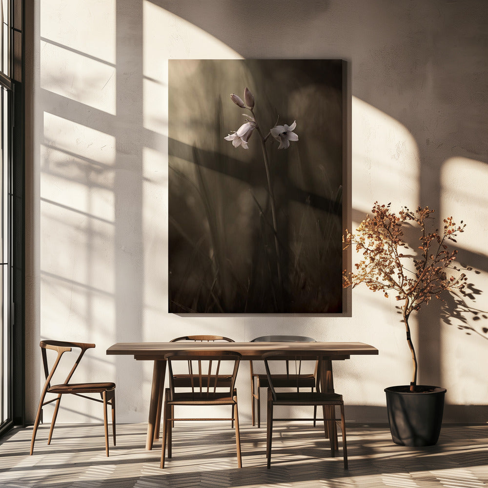 A small flower on the ground | Canvas