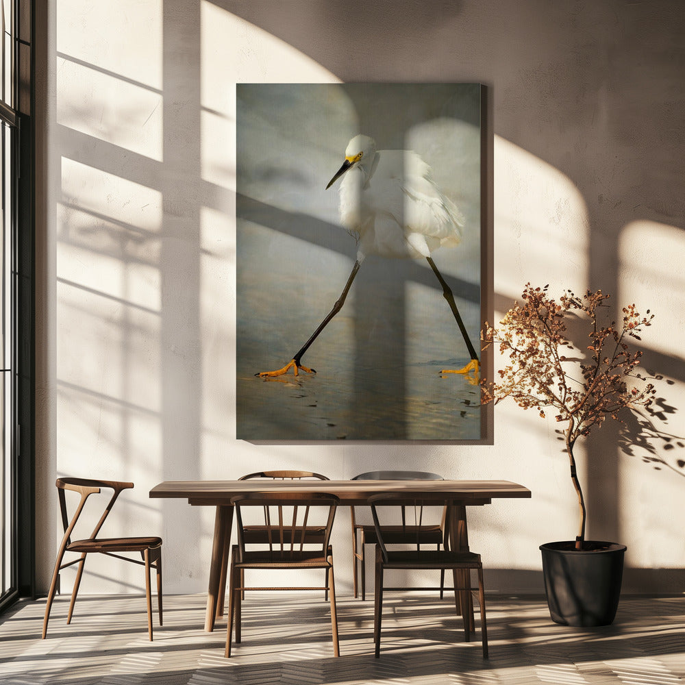 The Rock Star | Canvas