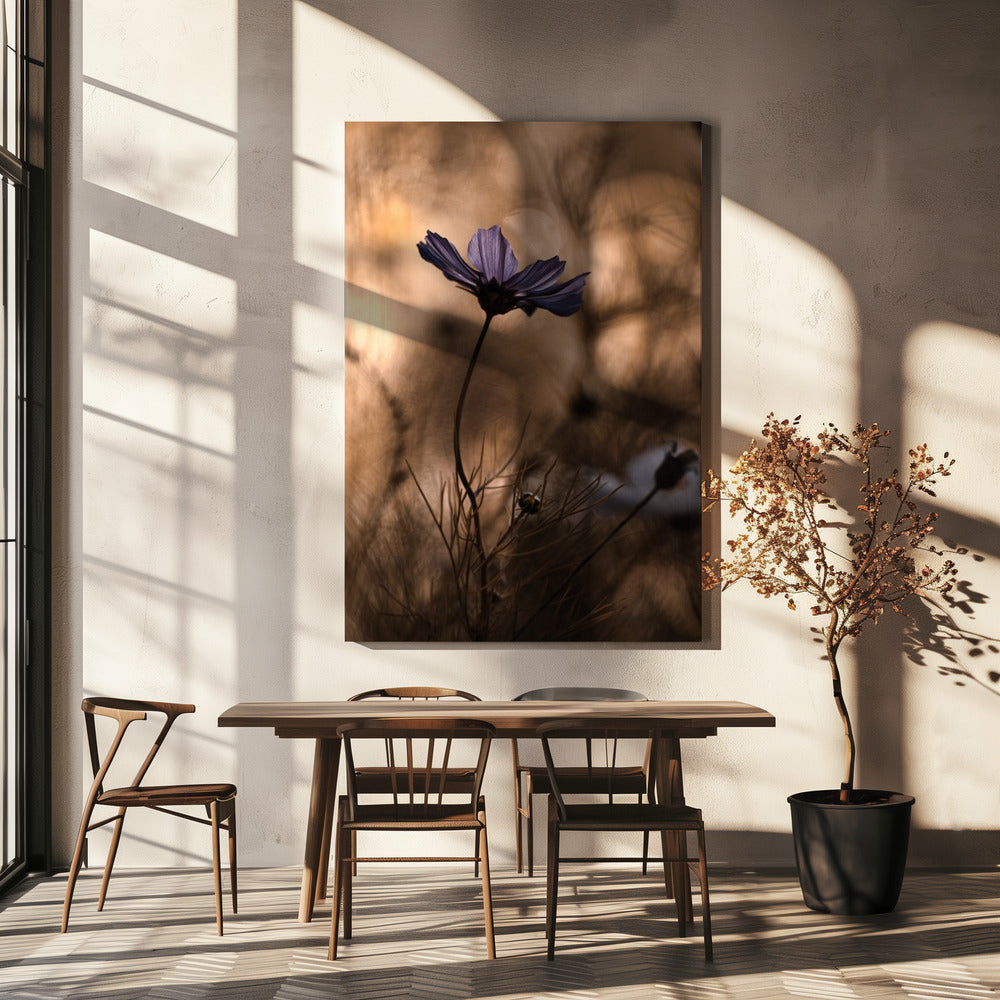 The Dancing Queen | Canvas