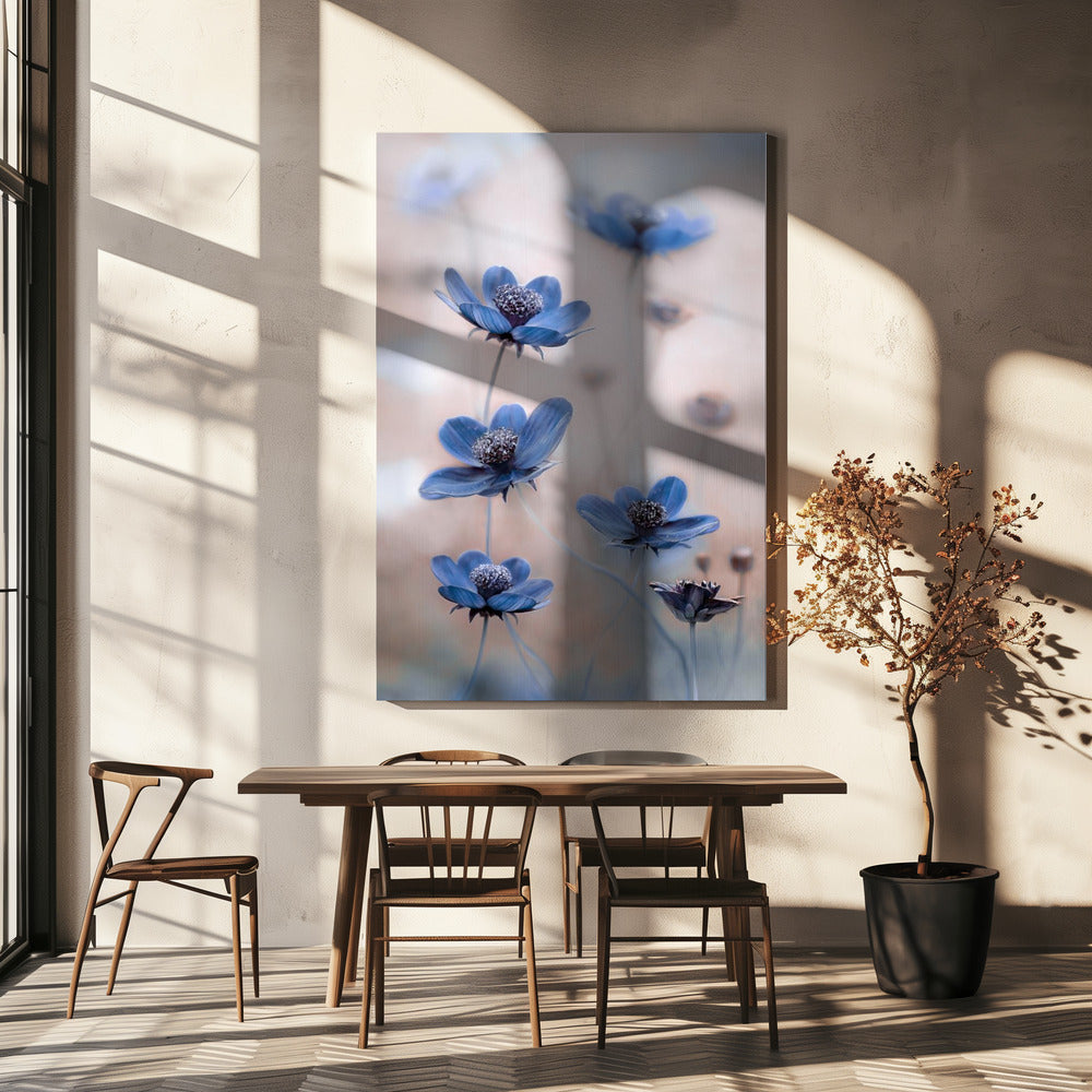 Cosmos blue | Canvas