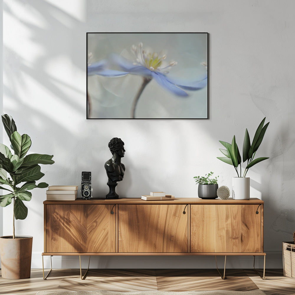 Dancing anemones | Poster