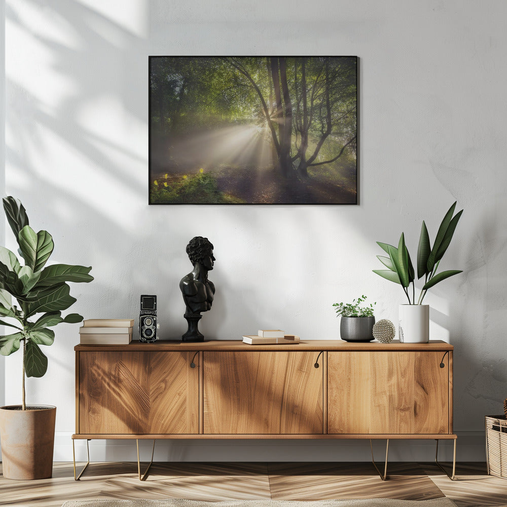 The morning light | Poster