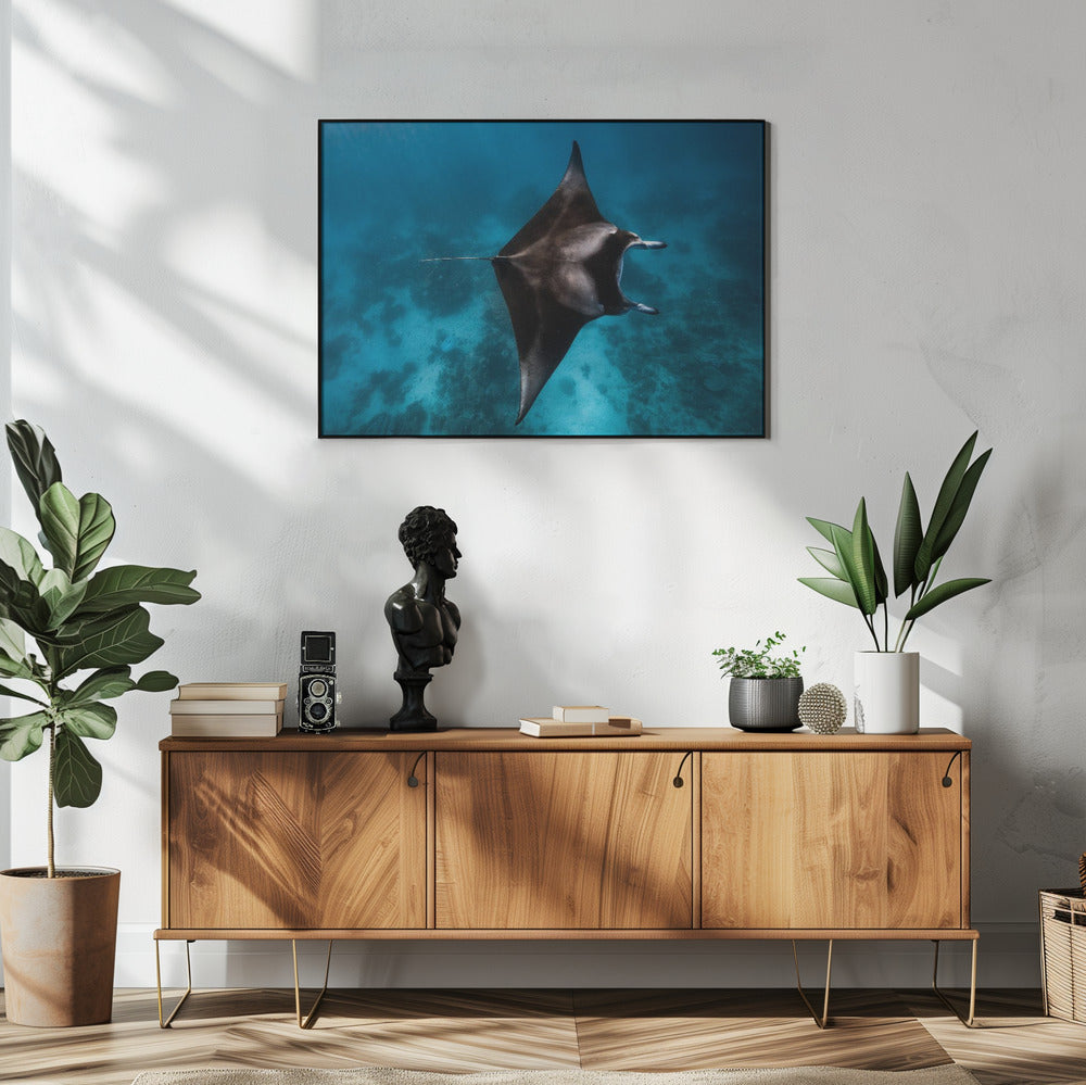 Manta fly!!! | Poster