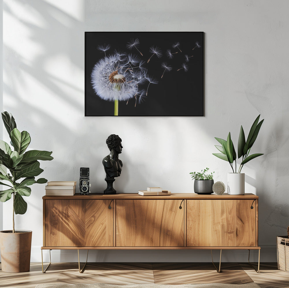 Dandelion Blowing | Poster