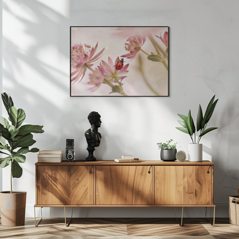 Ladybird and pink flowers | Poster