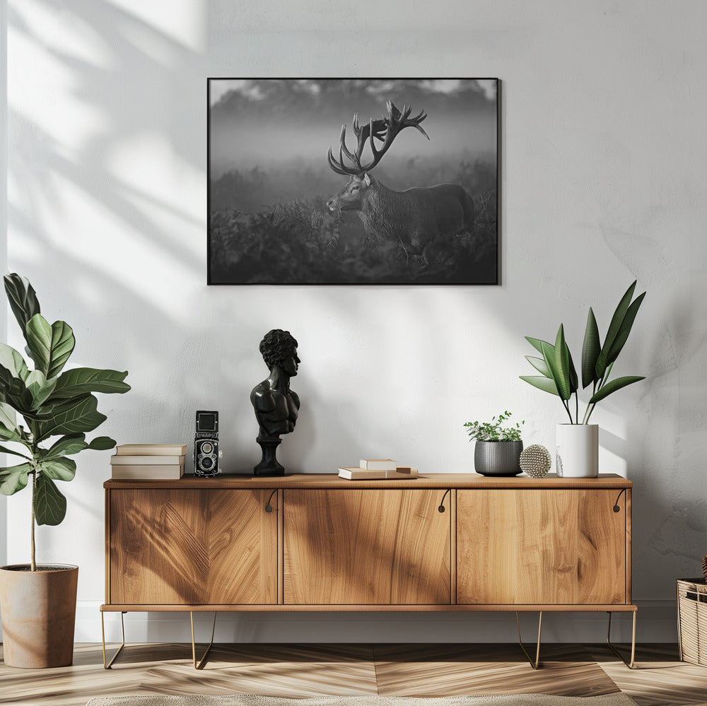 Sunny Morning | Poster