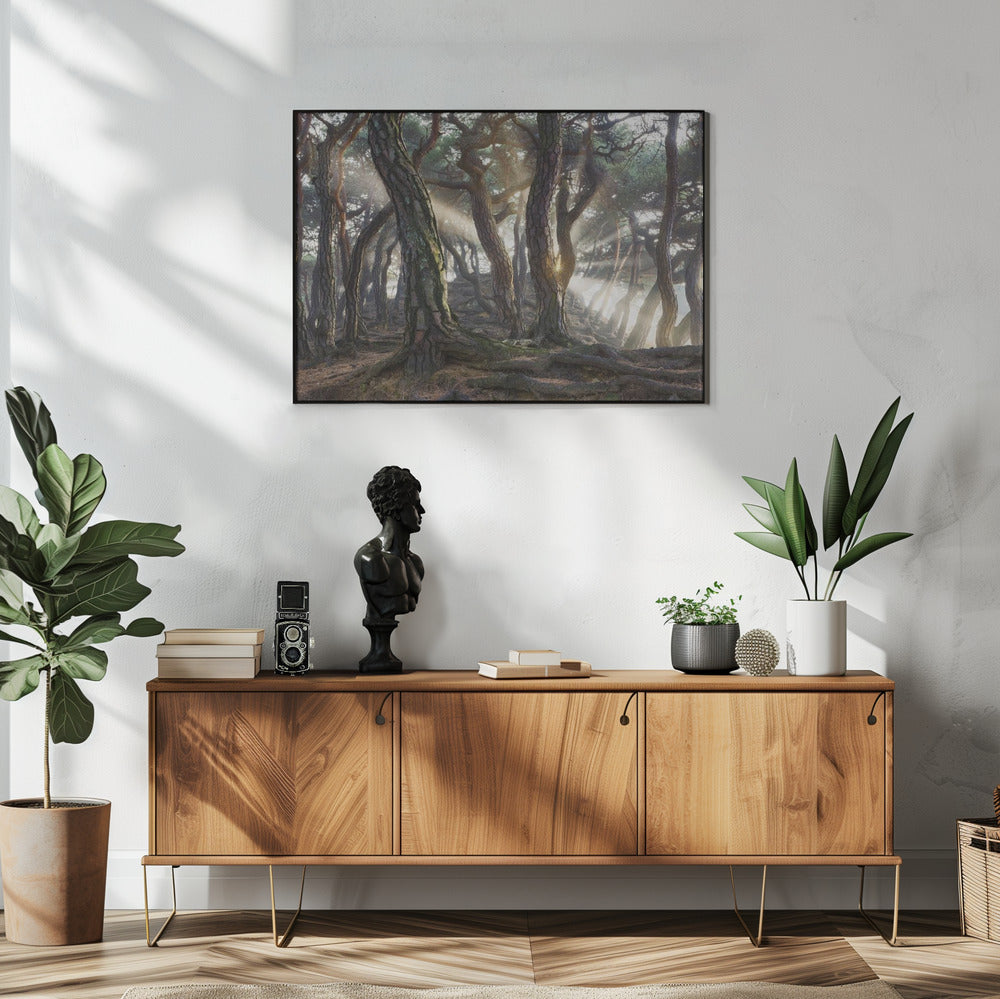 Sacred Pine Trees | Poster