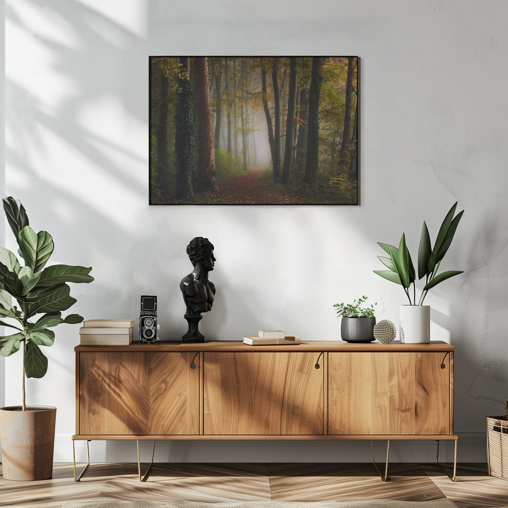 Autumn colorful forest | Poster