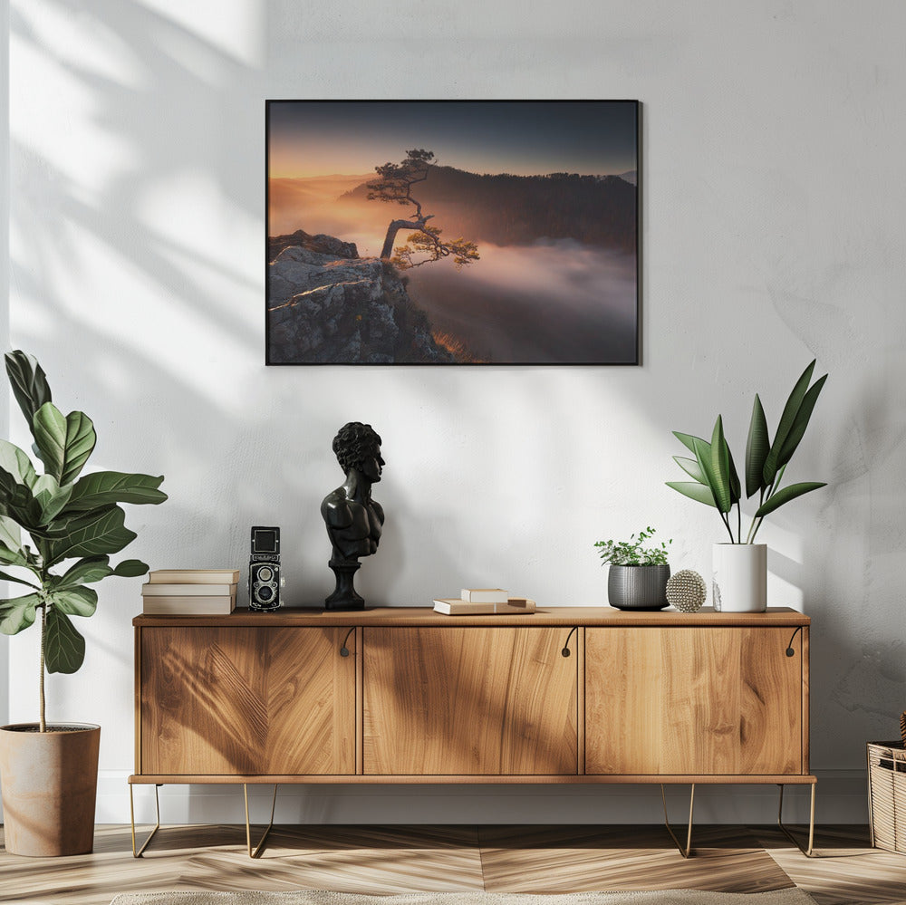Sokolica | Poster