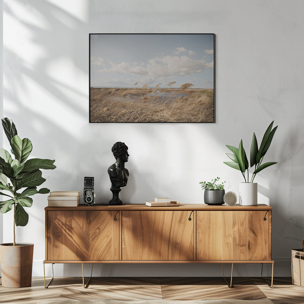 Marshland No.6 | Poster