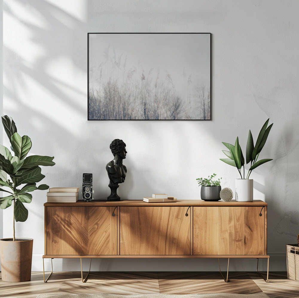 Landscape of reeds and grass | Poster