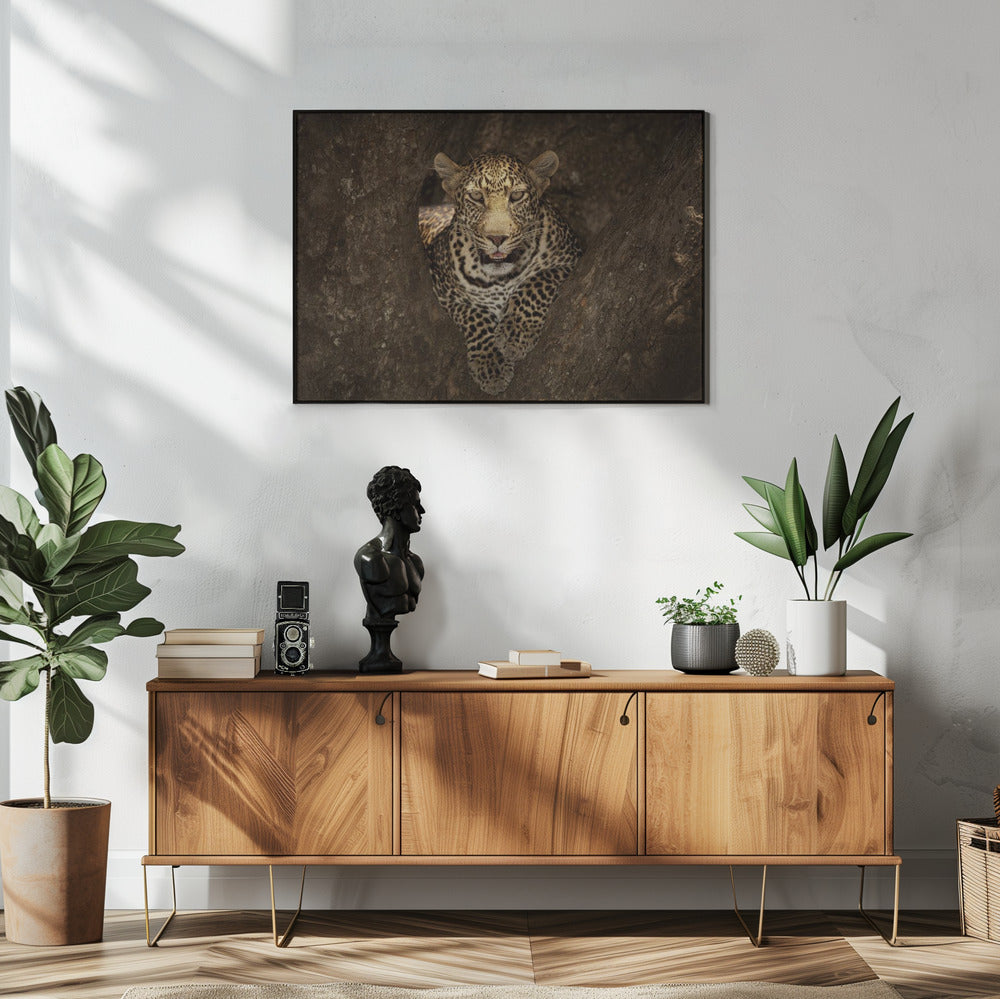 Leopard Resting on a Tree at Masai Mara | Poster