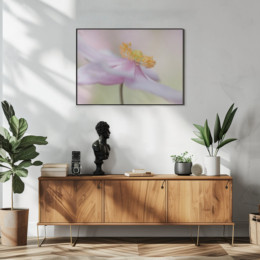 Japanese Anemone | Poster