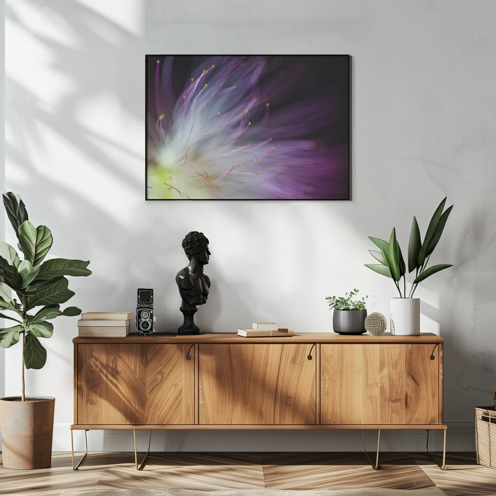 The Will-o-the-Wisp | Poster