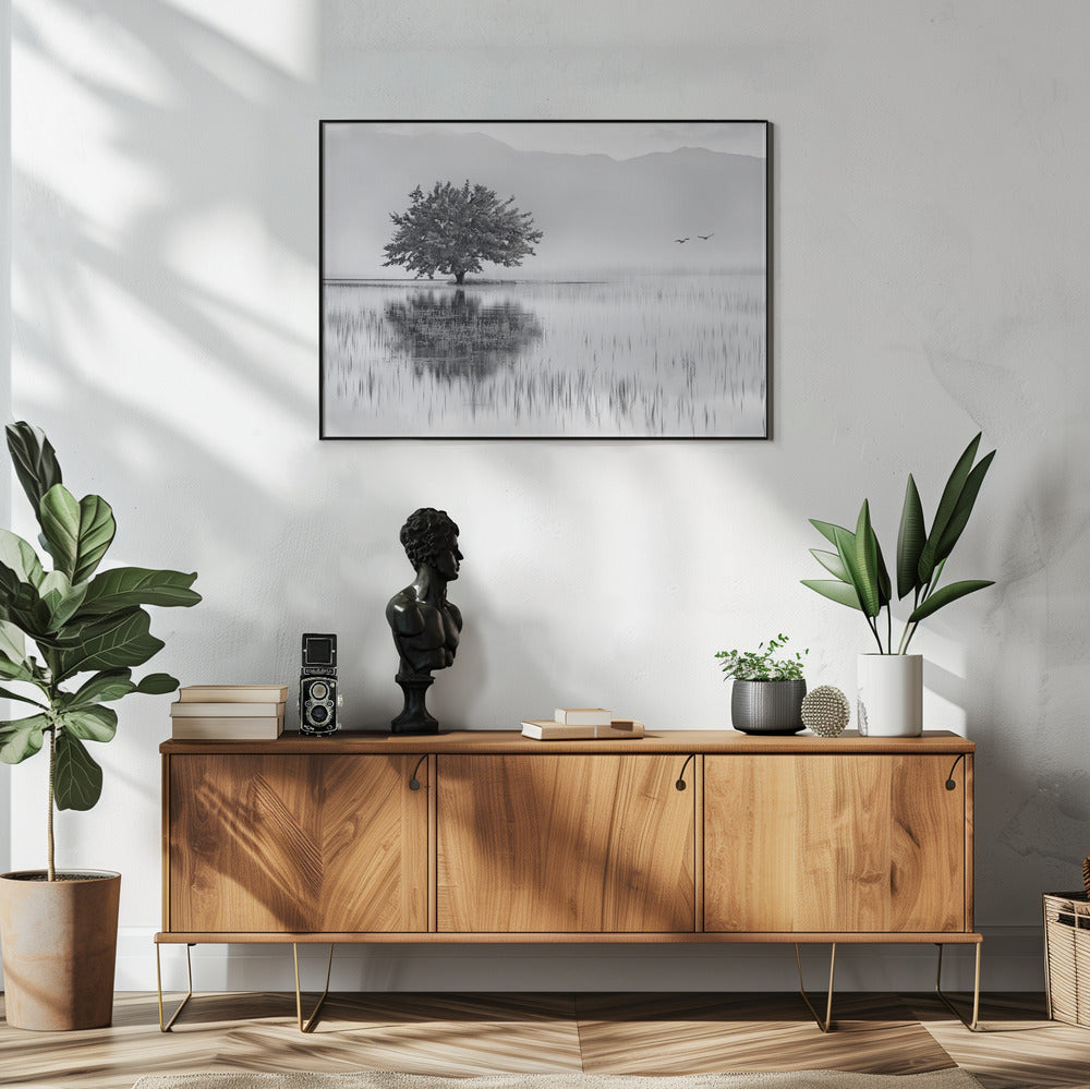 Spring Mirror | Poster