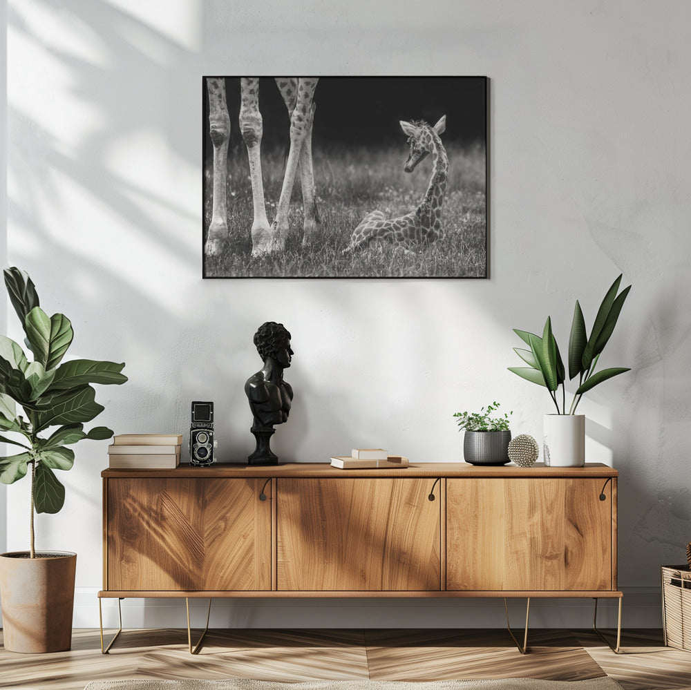 well protected | Poster