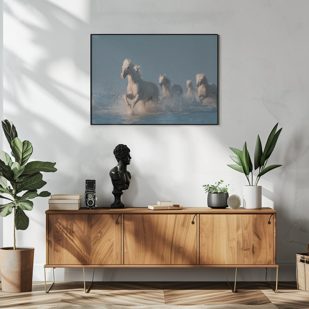 Angels of Camargue | Poster