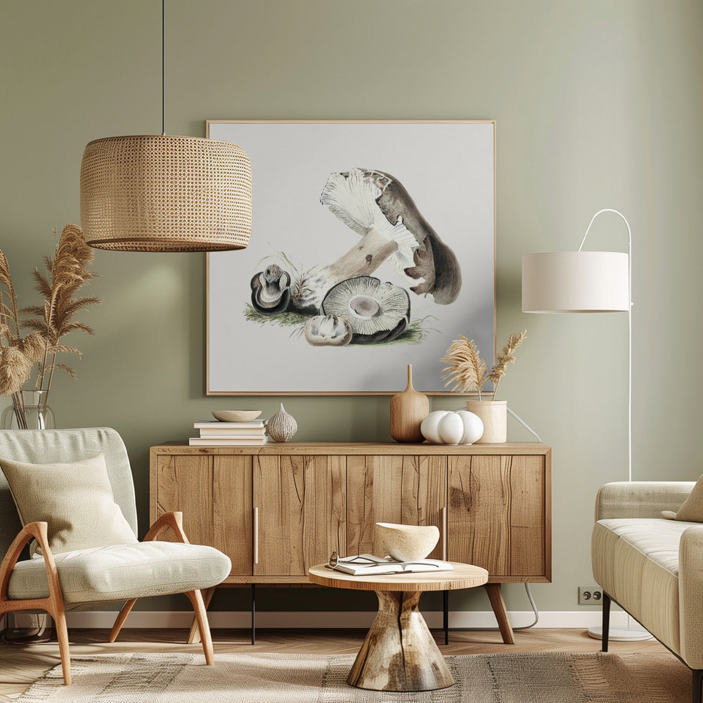 Vintage Agaricus Augustus Mushroom | Canvas