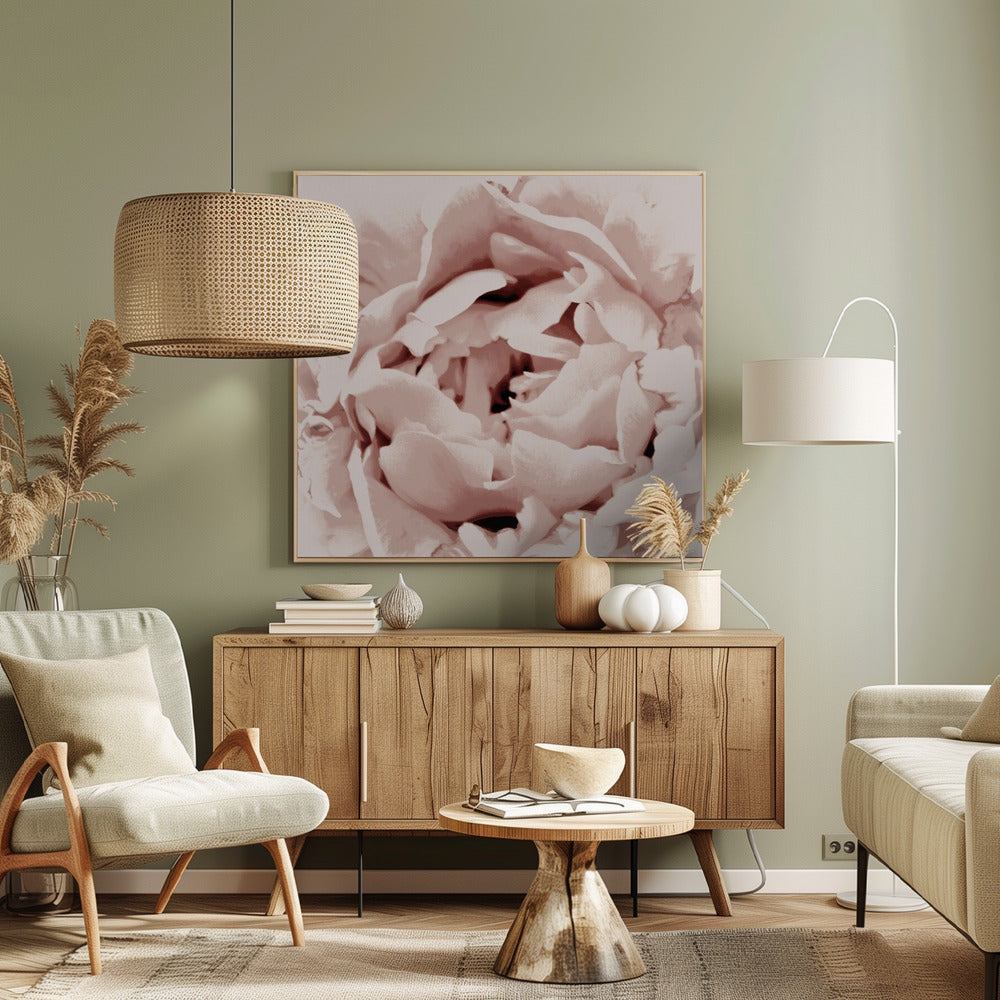 Delicate Peony Flower | Canvas