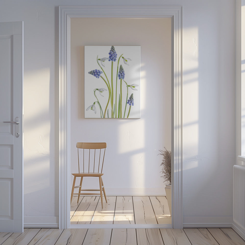 Muscari and Galanthus | Canvas