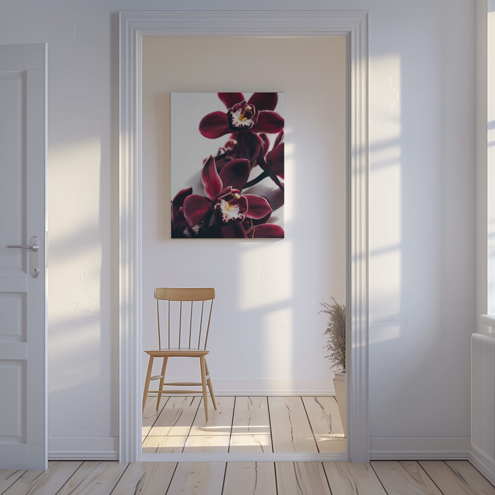 Velvet Orchid Twilight | Canvas