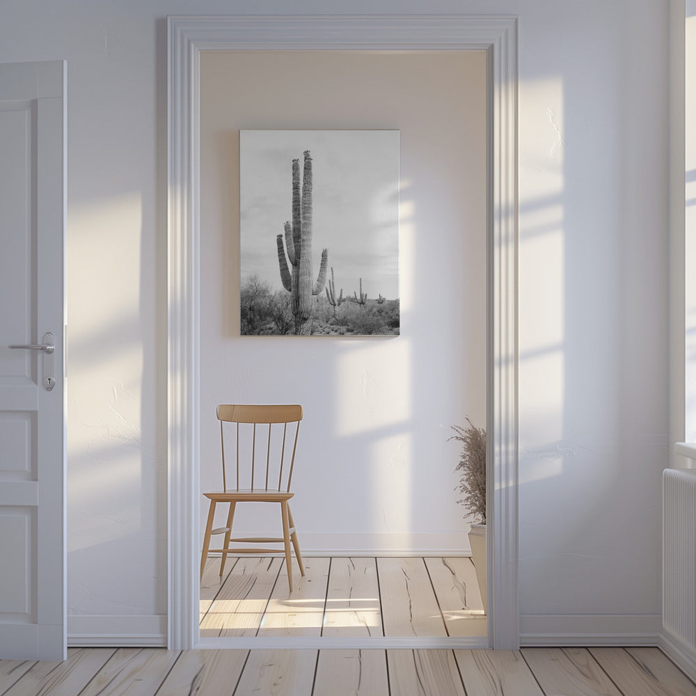 Saguaro B&W | Canvas