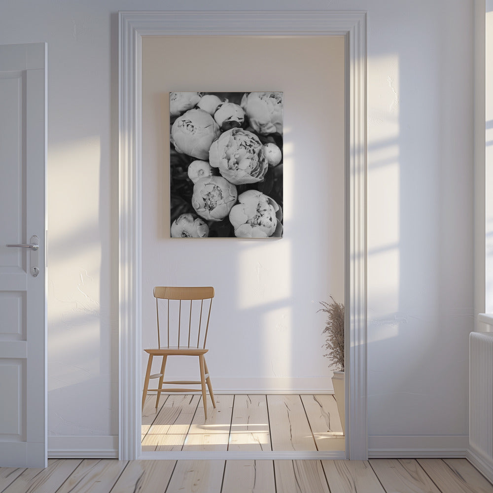 Peonies | Canvas