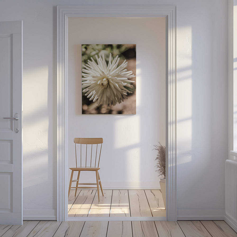 White Blossom Glow | Canvas