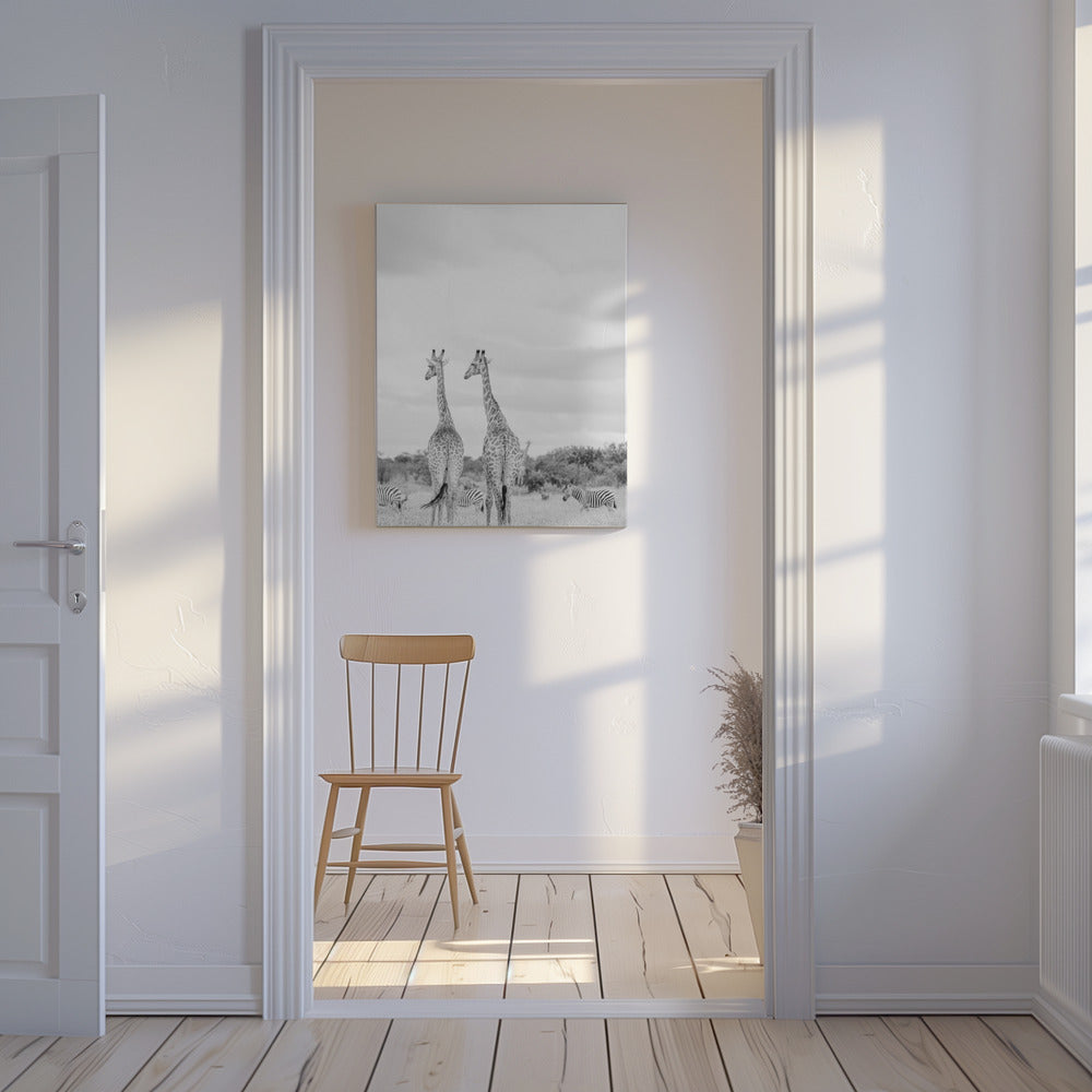 Super Safari | Canvas