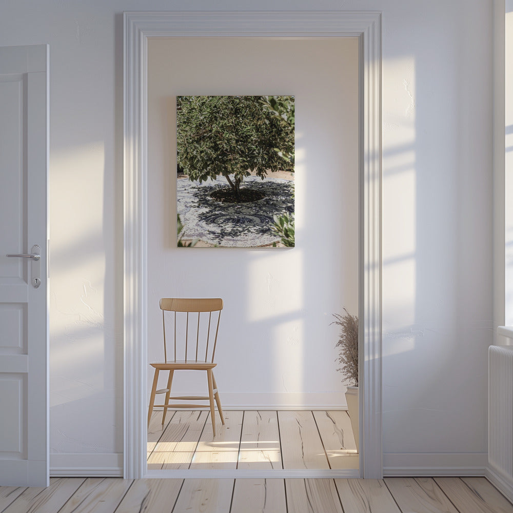 Vibrant Outdoor Installation | Canvas