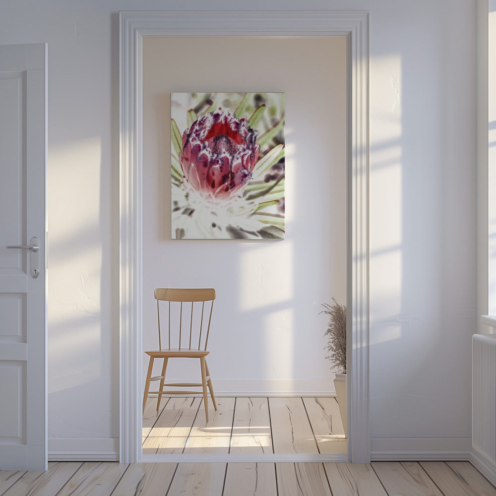 Blooming Protea Flower | Canvas