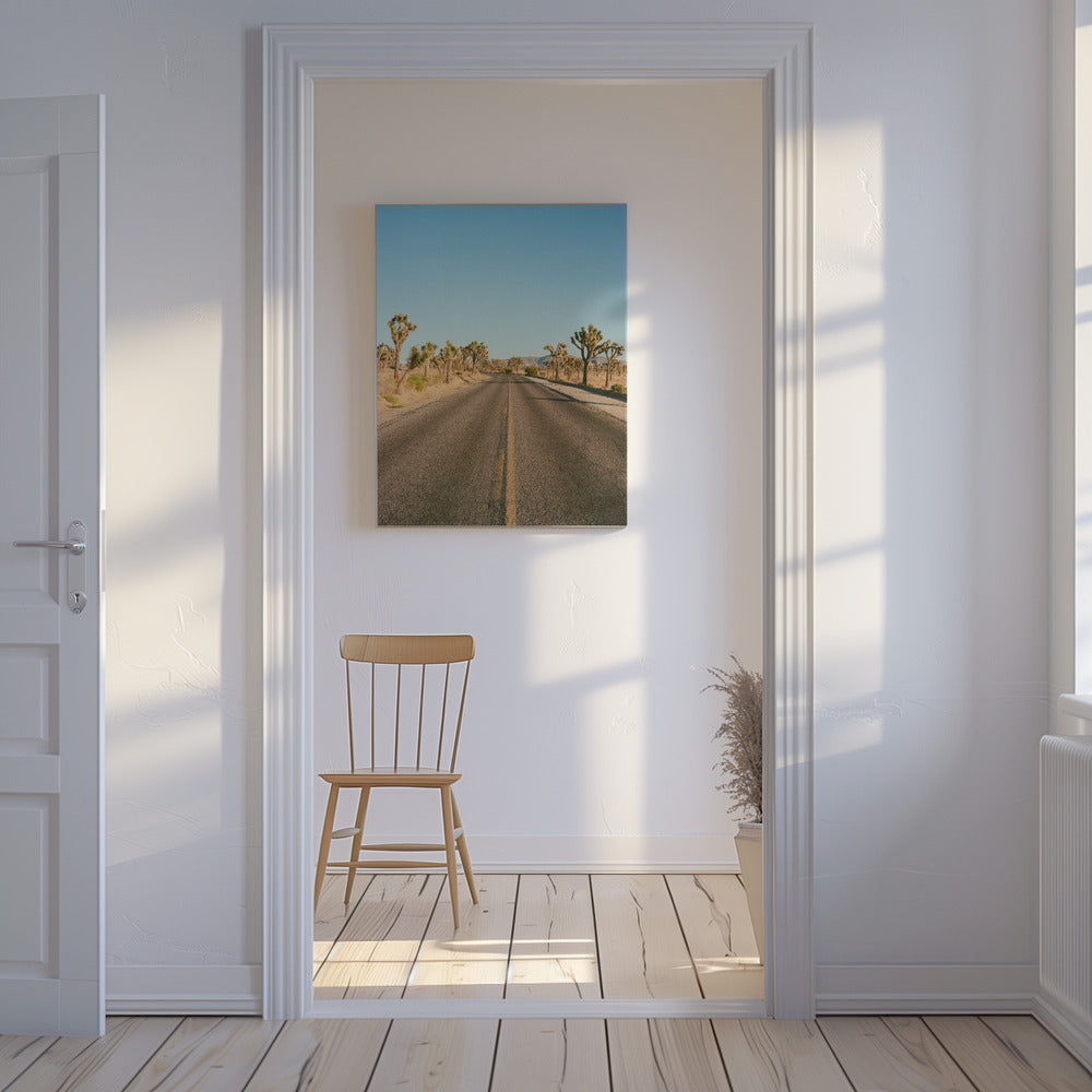 Joshua Tree Road II | Canvas