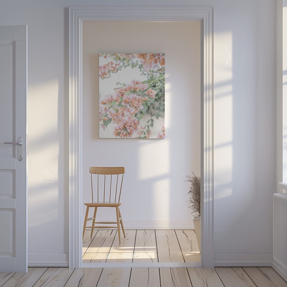 Peach Bougainvillea | Canvas