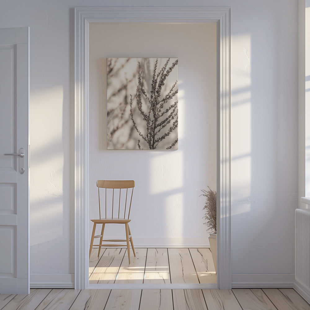 Summer Shadows 7X | Canvas