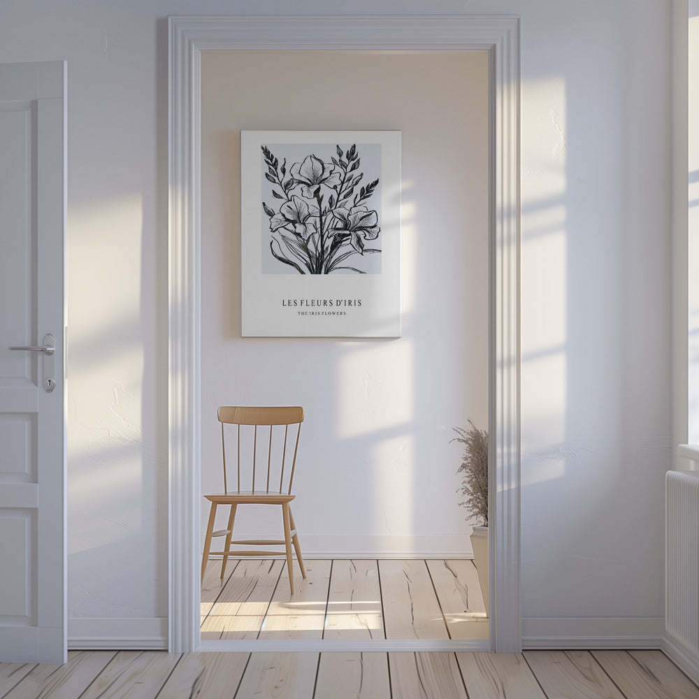 Iris Flowers In A Monochrome Illustration | Canvas